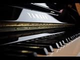 Produkt-Bild: Gebrauchtes Yamaha U3 Konzertklavier, Modell U3M, 131cm