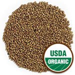 Certified Organic Alfalfa Sprout Seed -1 Lb- Seeds For: Salad Sprouts & Sprouting - Can Be Grown in Any Sprouter