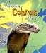 Books : Watching Cobras in Asia (Wild World)