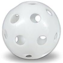 One Dozen CSI Plastic Golf Balls