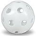 One Dozen CSI Plastic Golf Balls
