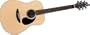AD200/SM Acoustic Guitar