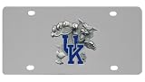 Bergamot Kentucky Wildcats Logo License Plate