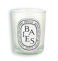 Diptyque Baies Candle 6.5 oz candle