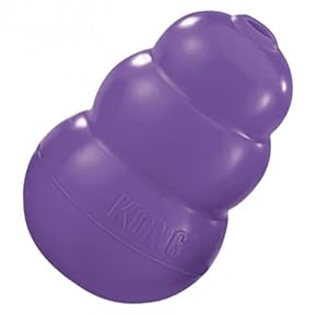 Amazon.com : KONG Senior KONG Dog Toy, Large, Purple : Pet Chew Toys