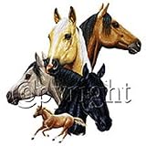 Horses Collage Youth Sweatshirt