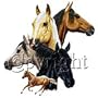 Horses Collage Youth T-Shirt