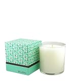Fresh Cucumber Melon Candle by BURN FRESH