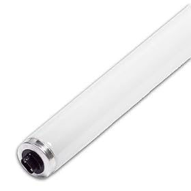 Philips 26304-6 - F42T12/CW/HO - 55 Watt T12 High Output Fluorescent Light Bulb, 42", Cool White