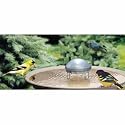 bird-bath