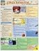 Stain Removal Quick Reference Guide: Tips for Household Cleanup (Quick Study Home)