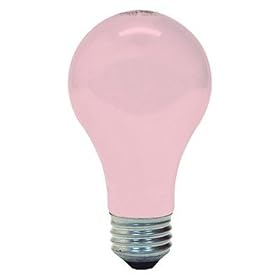 SOFT PINK 60W 2 PK x 24 Packs