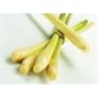 6 Fresh Lemon Grass