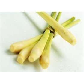 6 Fresh Lemon Grass by Curry Pastes