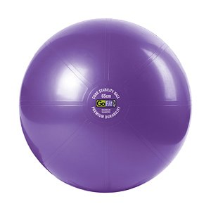 GoFit Stability Ball 65cm Purple, 1 ea