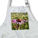Natures Expression of an Echinacea with Bee - Full Length Apron With Pockets 22w X 30l