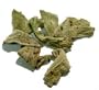 Sage Crushed Organic