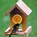 Orange and Jelly Feeder