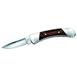 Buck 505 Knight Lockback Folding Knife