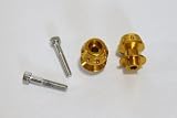 Swingarm Stand Spools - 10mm - Gold - Kawasaki ZX6R ZX6 636, ZX9R ZX9, ZX10R ZX10, ZX12R ZX12, ZX14R ZX14, ZZR 1200, 600, 900, Ninja
