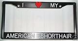 Black Plastic I Love My American Shorthair Frame