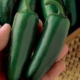 Pepper Seeds - Pepper Mucho Nacho Hybrid