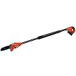 Black & Decker NPP2018 18-Volt Cordless Electric Pole Chain Saw