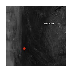 The Only Stars [7" VINYL]
