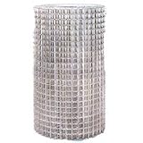 14Ga 1 X 2 Welded Wire 36 X25 ft.