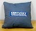 University of Kentucky UK WILDCATS - 18" Denim Throw Pillow