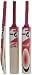 SG Maxxum 5 English Willow