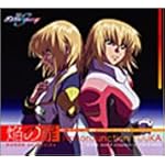 機動戦士ガンダム SEED DESTINY 挿入歌 焔の扉