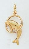 Dolphin Charm