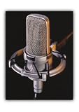 Audio-Technica AT4047B Side-address Studio Condenser Cardioid Capacitor Microphone w/ AT8449 shock mount