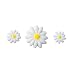 Lucks Dec-Ons Small White Daisies, 675 pk