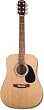 Fender Starcaster Acoustic Guitar Starter Pack, Natural
