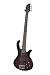 Schecter RIOT-5 Five String Bass - Black Cherry