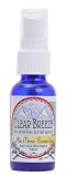 Little Moon Essentials CB-1 Clear Breeze Theramist Small