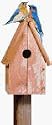 Perky Pet 50302 Bluebird Home Cedar Birdhouse