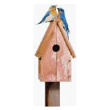 Perky Pet 50302 Bluebird Home Cedar Birdhouse by Perky Pet