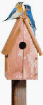 Perky Pet 50302 Bluebird Home Cedar Birdhouse