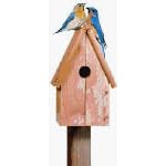 Perky Pet 50302 Bluebird Home Cedar Birdhouse from Birdhouses & Accessories