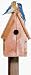 Outdoor Living : Perky Pet 50302 Bluebird Home Cedar Birdhouse
