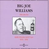 Review Big' Joe Williams  / The Blues: Baby Please Don't Go 1935 - 1951