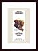 Papillon, Art Poster by Unknown Artist, with Wood Frame, poster size: 11
