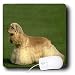 cocker_spaniel13cocker spaniel - Dogs Cocker Spaniel Cocker Spaniel Mouse Pads