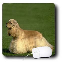 image link -  - B000EGGUQS