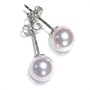 6mm Collection Quality Japanese Akoya cultured pearl earring studs set in 18K white gold