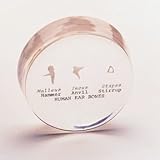 Auditory Ossicles Model; Embedded in Acrylic block; Life-Size
