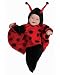 Rubies Costume Co. Deluxe Baby Bunting, Lady Bug Costume, 1 to 9 Months